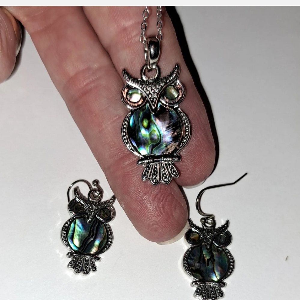 Sweet Set Of Owls Necklace And Earring With Abalone Inlay  Silver Tones (Mood)